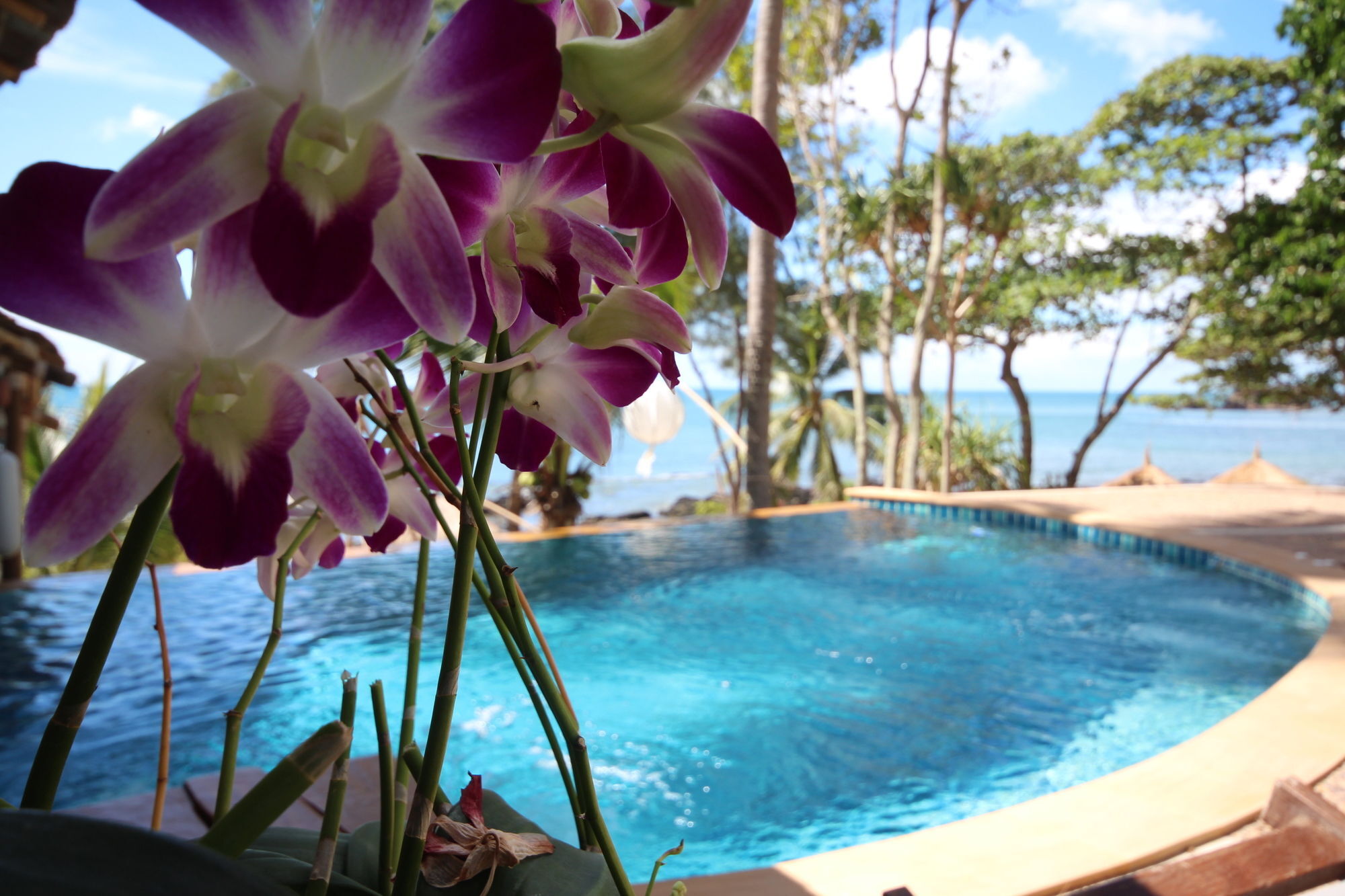 Resort Coco Cape Lanta - Sha Extra Ko Lanta